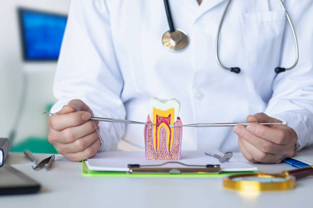 Best Emergency Dental Care for Broken or Chipped Teeth in Portsmouth, NH